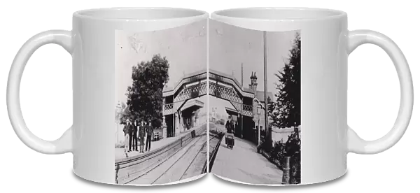 Albrighton Station, Shropshire, c. 1900