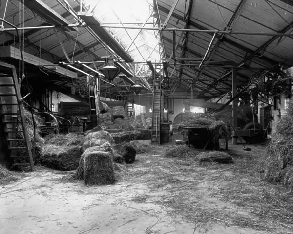 Internal view of the Provender Store, Didcot, April 1906