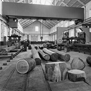 Carriage and Wagon Works Photographic Print Collection: Sawmills and Timber Yard