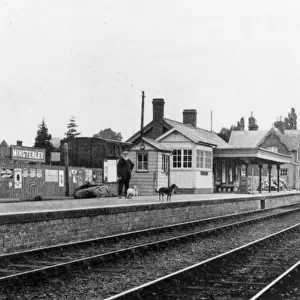 Minsterley Station, Shropshire