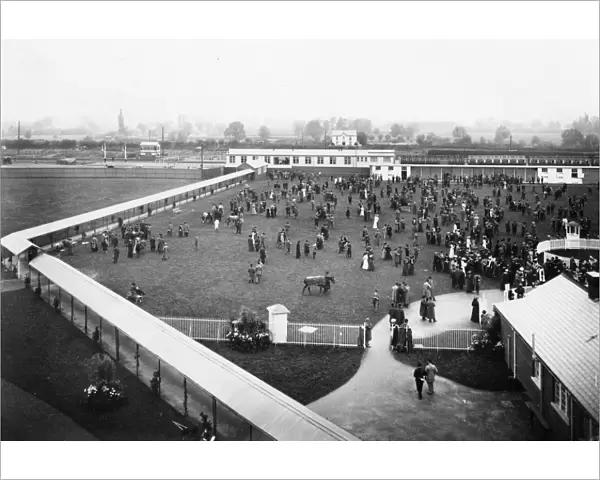 Newbury Racecourse Station, September 1905