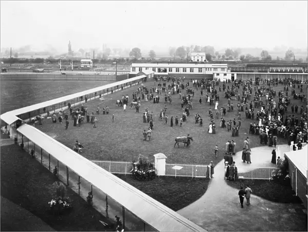 Newbury Racecourse Station, September 1905
