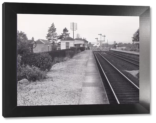 Athelney Station, Somerset, c. 1960
