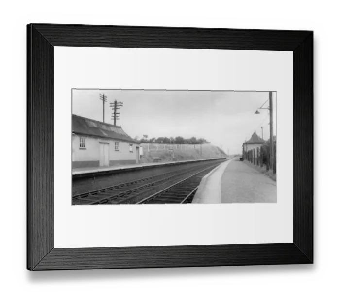 Framed Print : Bittaford Platform, Devon, 4th August 1958