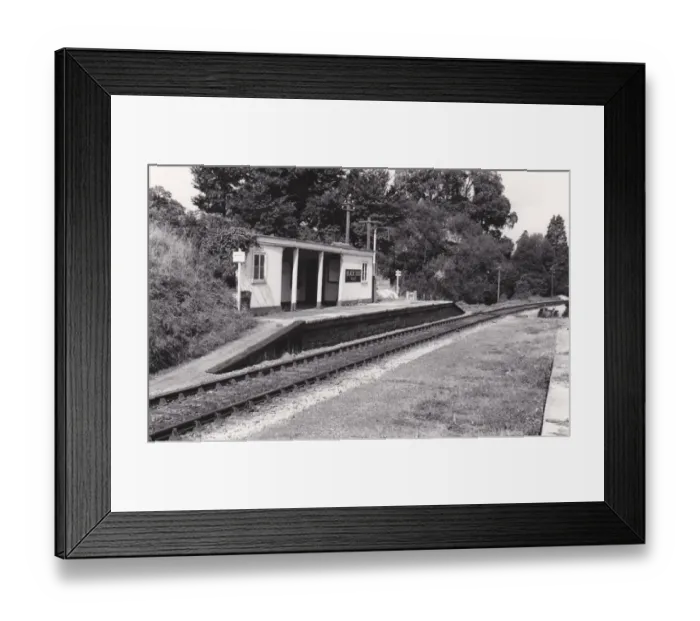 Framed Print : Black Dog Halt, near Calne, c. 1960