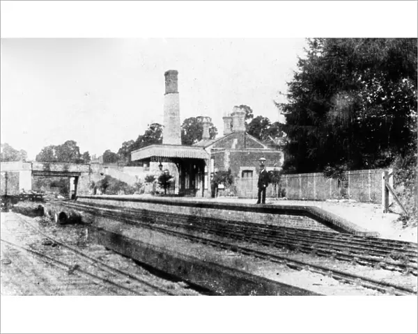 Camerton Station, Somerset, c. 1900