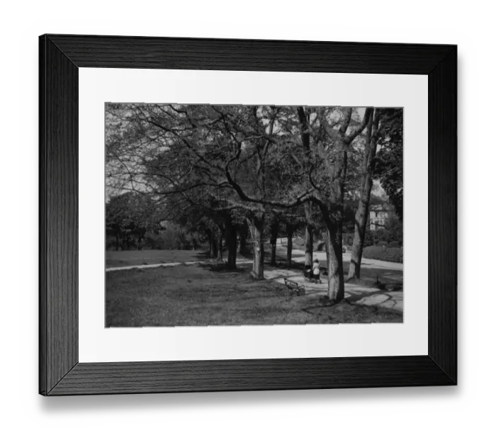 Framed Print : Clifton Downs, Bristol, May 1924 Framed Print : Clifton Downs, Bristol, May 1924