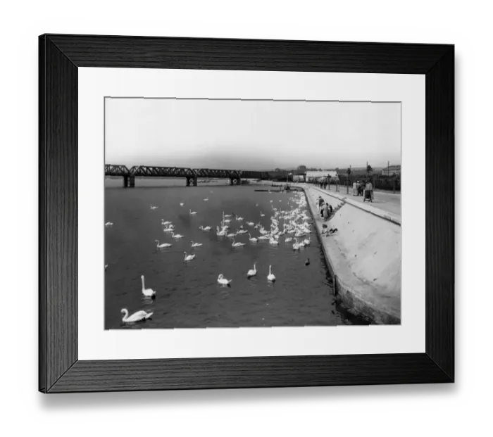 Framed Print : Radipole Lake, Weymouth, August 1929