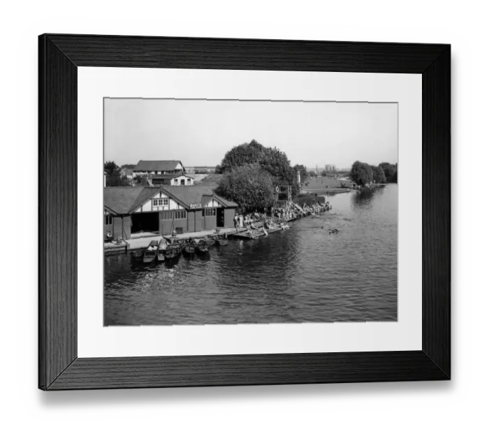 Framed Print : Caversham Rose, Reading, August 1932 Framed Print : Caversham Rose, Reading, August 1932