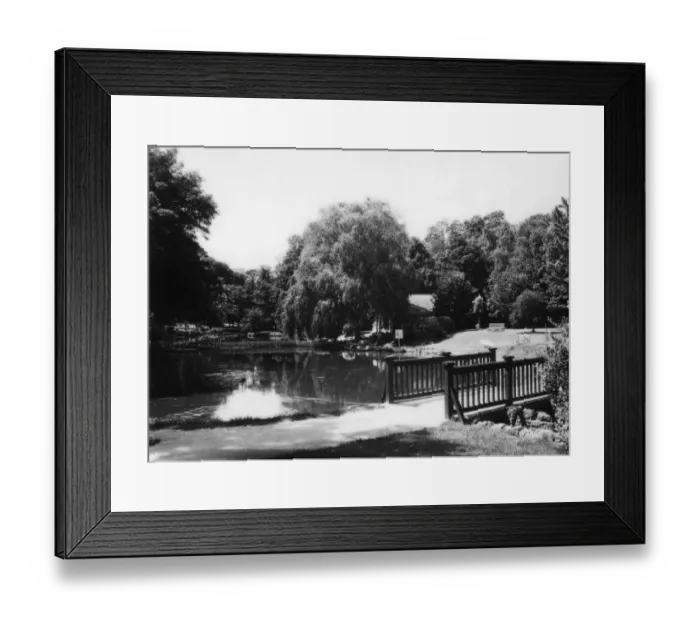 Framed Print : Pittville Park, Cheltenham, c. 1952 Framed Print : Pittville Park, Cheltenham, c. 1952