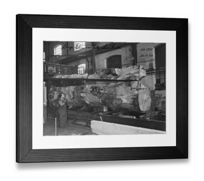 Framed Print : No 1 Shop, Sawmill, 1954