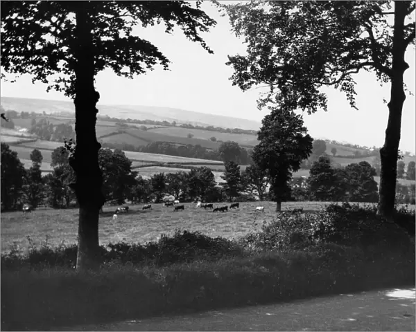 Kilve, Somerset, c. 1920s