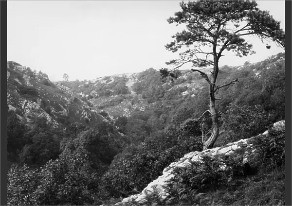 Ebbor Gorge, Wookey Hole, c. 1920s