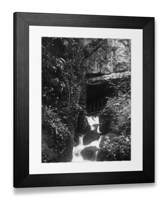 Framed Print : The Glen at Wookey Hole, Somerset Framed Print : The Glen at Wookey Hole, Somerset