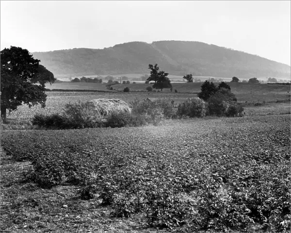 The Wrekin, Welon, Shropshire, August 1925