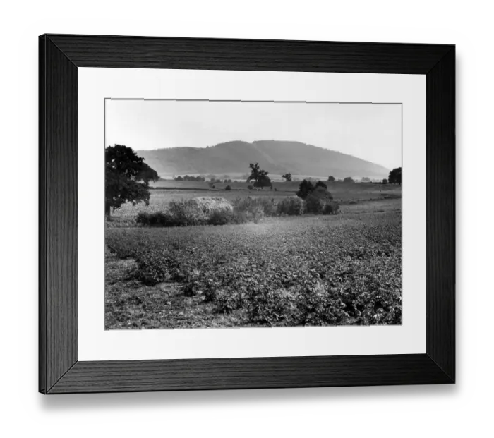 Framed Print : The Wrekin, Welon, Shropshire, August 1925