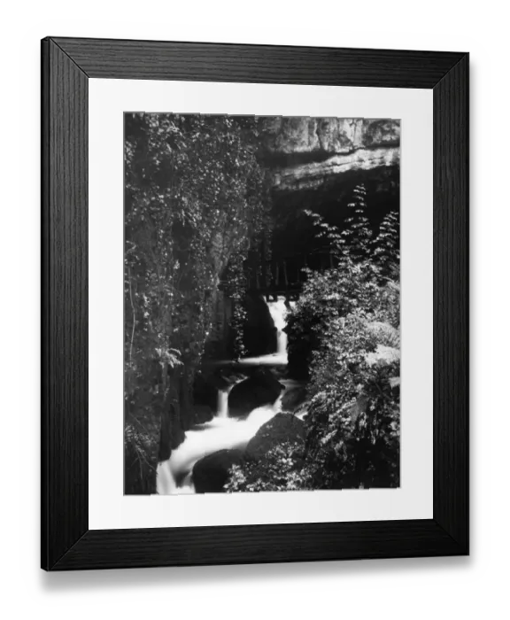 Framed Print : The Glen, Wookey Hole, Somerset