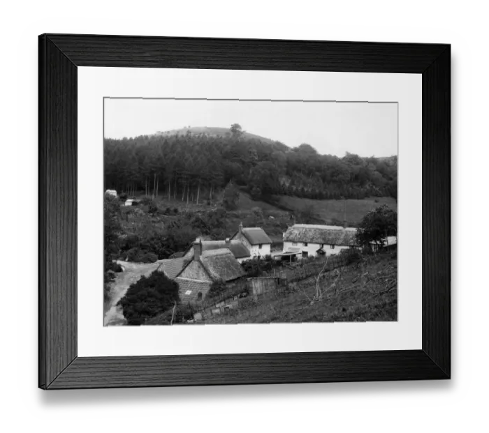 Framed Print : Triscombe in the Quantock Hills, Somerset Framed Print : Triscombe in the Quantock Hills, Somerset