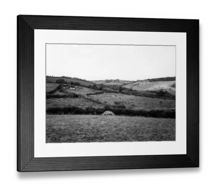 Framed Print : Luxulyan Valley, Cornwall, August 1928 Framed Print : Luxulyan Valley, Cornwall, August 1928
