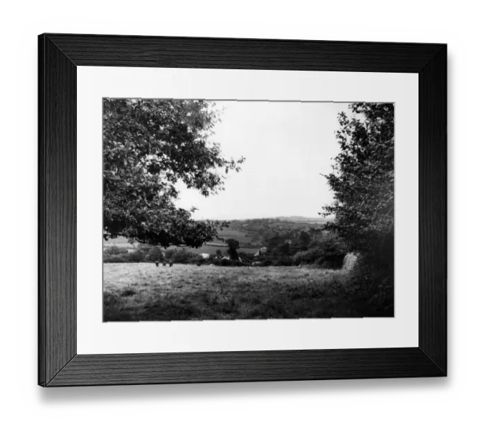 Framed Print : Luxulyan Valley, Cornwall, August 1928 Framed Print : Luxulyan Valley, Cornwall, August 1928