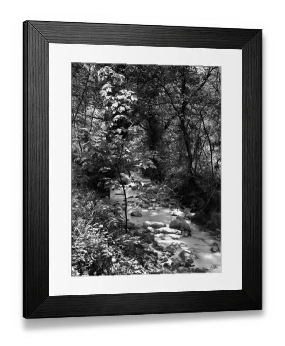 Framed Print : Luxulyan Valley Stream, Cornwall, May 1949
