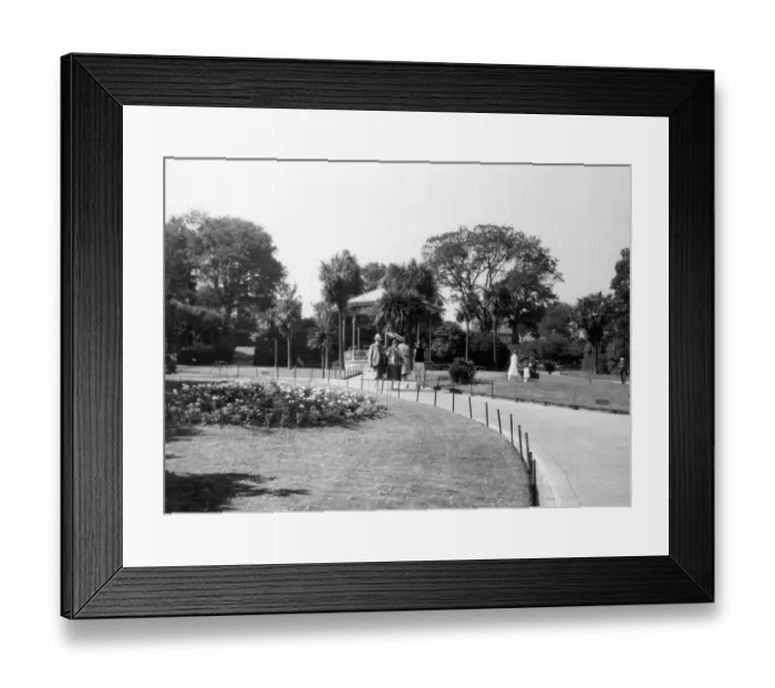 Framed Print : Morrab Gardens, Penzance, August 1928 Framed Print : Morrab Gardens, Penzance, August 1928