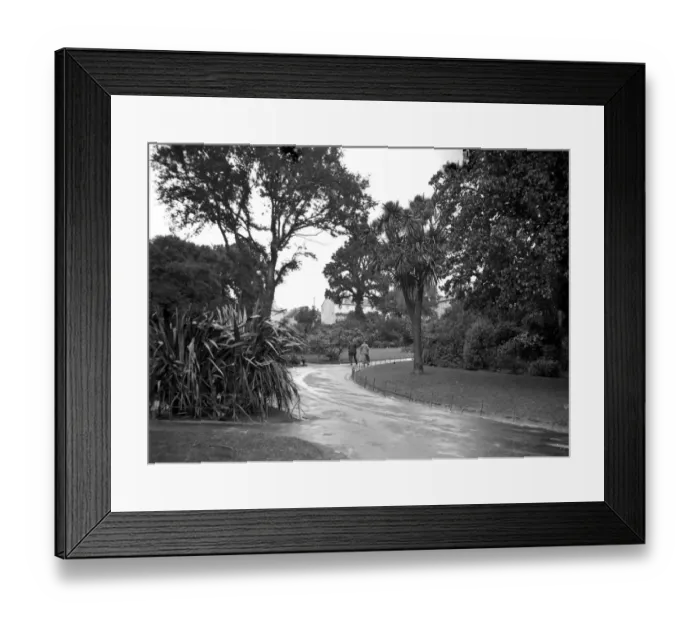 Framed Print : Morrab Gardens, Penzance, c. 1948 Framed Print : Morrab Gardens, Penzance, c. 1948