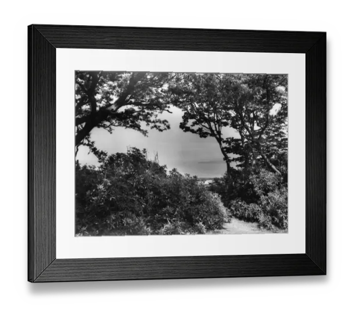 Framed Print : Trelyon Downs, Cornwall, June 1946 Framed Print : Trelyon Downs, Cornwall, June 1946