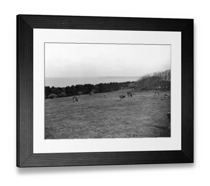 Framed Print : St Ives Bay from Tregenna Castle, Cornwall, c. 1924