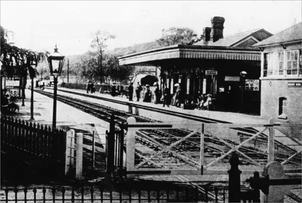 Midgham Station, c1890s