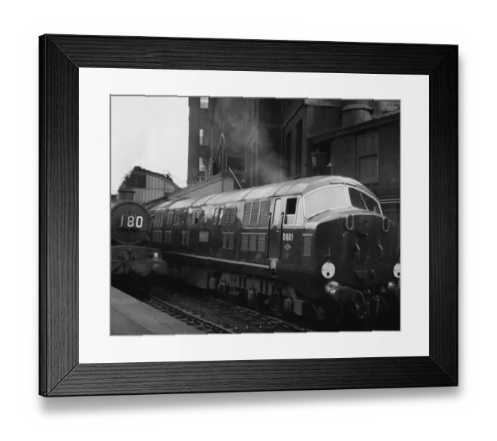 Framed Print : No D601 Ark Royal - Warship Class Diesel Hydraulic Locomotive Framed Print : No D601 Ark Royal - Warship Class Diesel Hydraulic Locomotive