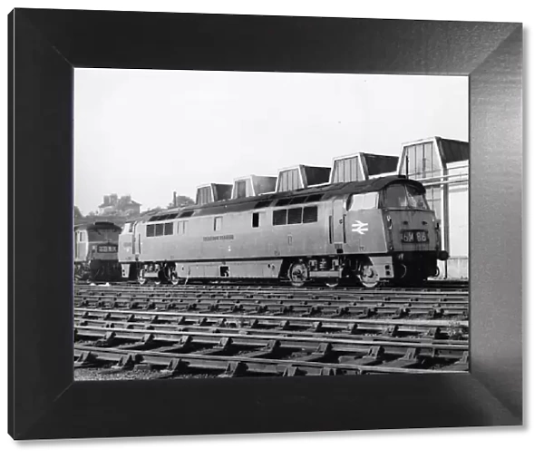 D1017 Western Warrior - Western Class Diesel Hydraulic Locomotive