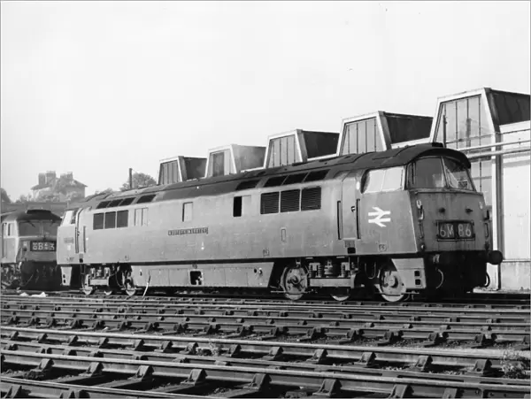 D1017 Western Warrior - Western Class Diesel Hydraulic Locomotive