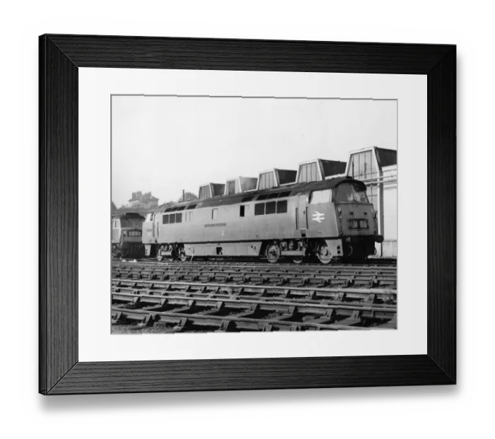 Framed Print : D1017 Western Warrior - Western Class Diesel Hydraulic Locomotive