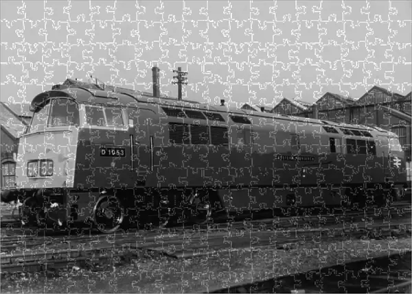 No D1053 Western Patriarch - Western Class Diesel Hydraulic Locomotive