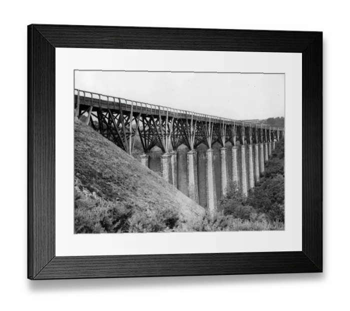 Framed Print : Walkham Viaduct Framed Print : Walkham Viaduct
