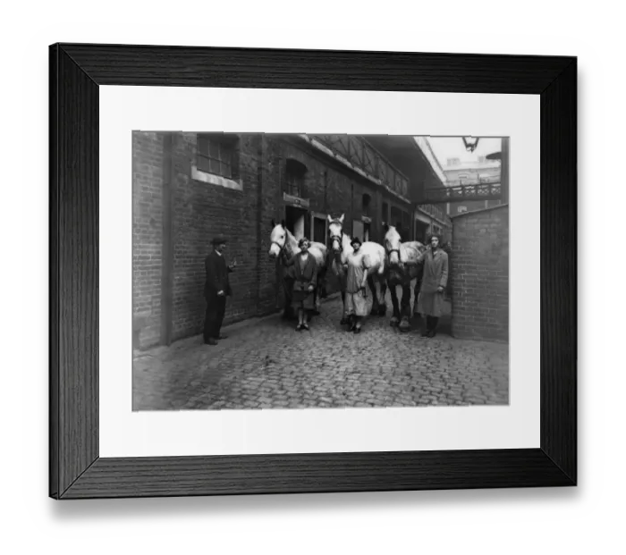 Framed Print : Paddington Mint Stables, London, c. 1920s Framed Print : Paddington Mint Stables, London, c. 1920s