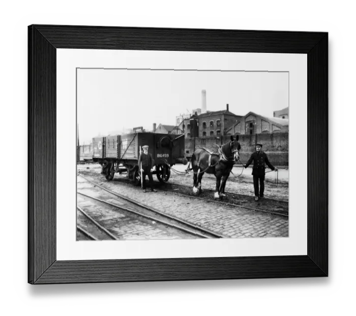 Framed Print : The last shunting horse at Paddington, 1925 Framed Print : The last shunting horse at Paddington, 1925
