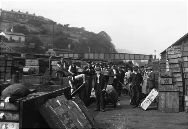 Neyland Fish Platform, Pembrokeshire, c. 1910
