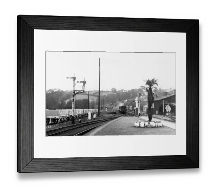 Framed Print : Lostwithiel Station, Cornwall, September 1956 Framed Print : Lostwithiel Station, Cornwall, September 1956