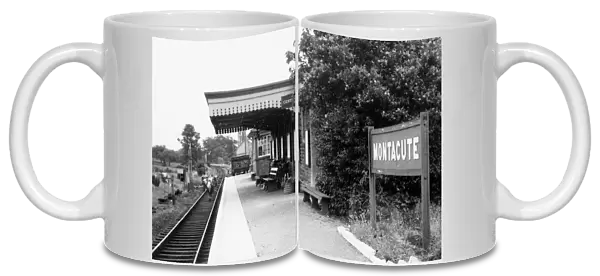 Montacute Station, Somerset, 1962