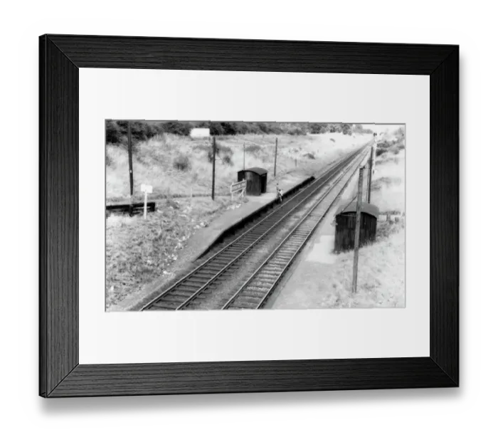 Framed Print : Stratton Park Halt, Wiltshire