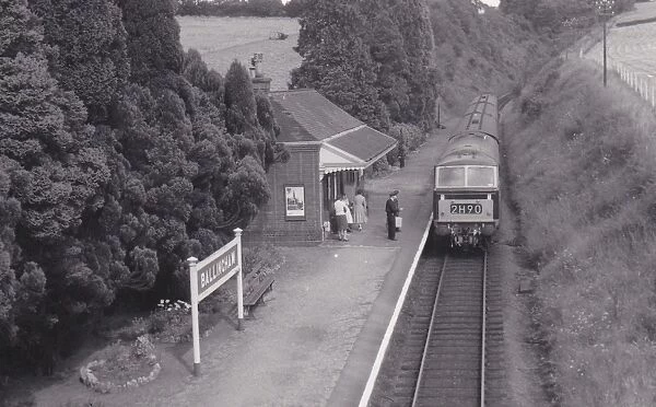 Ballingham Station, c.1960s