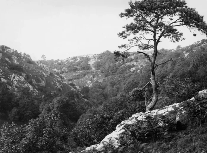 Framed Print : Ebbor Gorge, Wookey Hole, c. 1920s Framed Print : Ebbor Gorge, Wookey Hole, c. 1920s