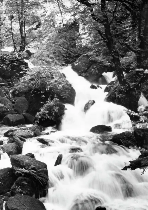 Framed Print : Glen Lyn Gorge at Lynmouth, Devon, 1950 Framed Print : Glen Lyn Gorge at Lynmouth, Devon, 1950