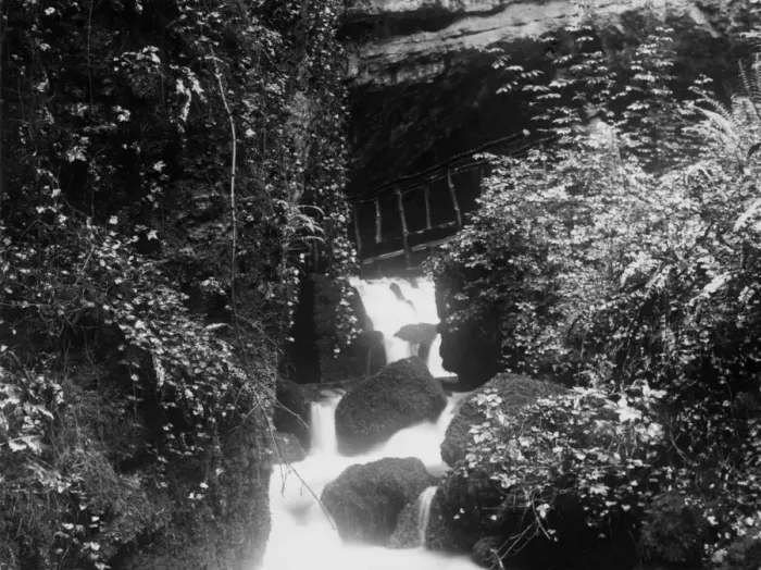 Framed Print : The Glen at Wookey Hole, Somerset