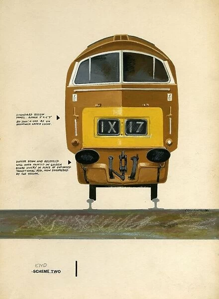 Livery diagram for a Class 52 Western locomotive in 1963