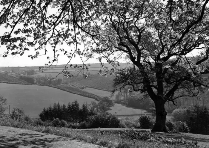 Framed Print : Lostwithiel Valley from Restormel Castle, Cornwall, May 1949