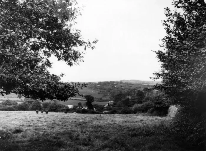 Framed Print : Luxulyan Valley, Cornwall, August 1928 Framed Print : Luxulyan Valley, Cornwall, August 1928