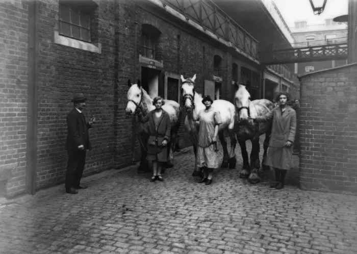 Framed Print : Paddington Mint Stables, London, c. 1920s Framed Print : Paddington Mint Stables, London, c. 1920s